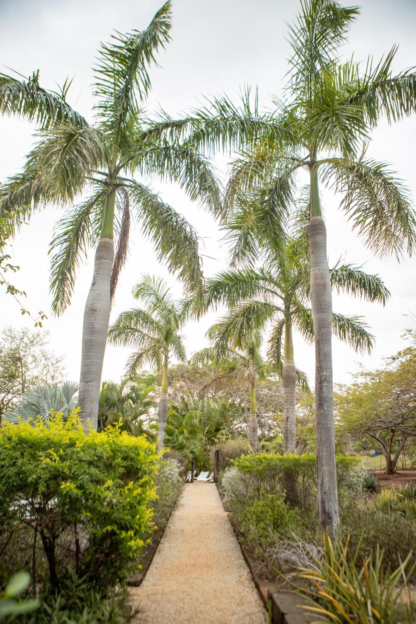 Latica Lodge Playa Negra Экстерьер фото